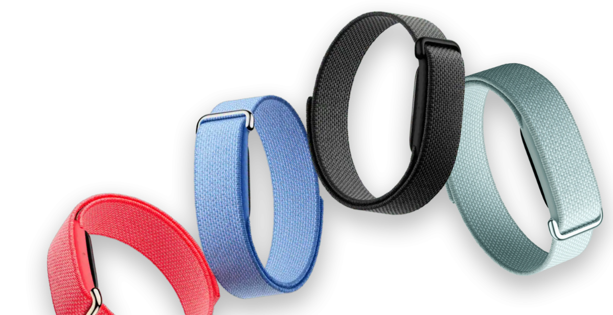 Google Fitbit Air